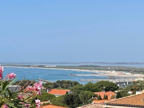 Villa L' Oliviera, vue mer et plages à pieds